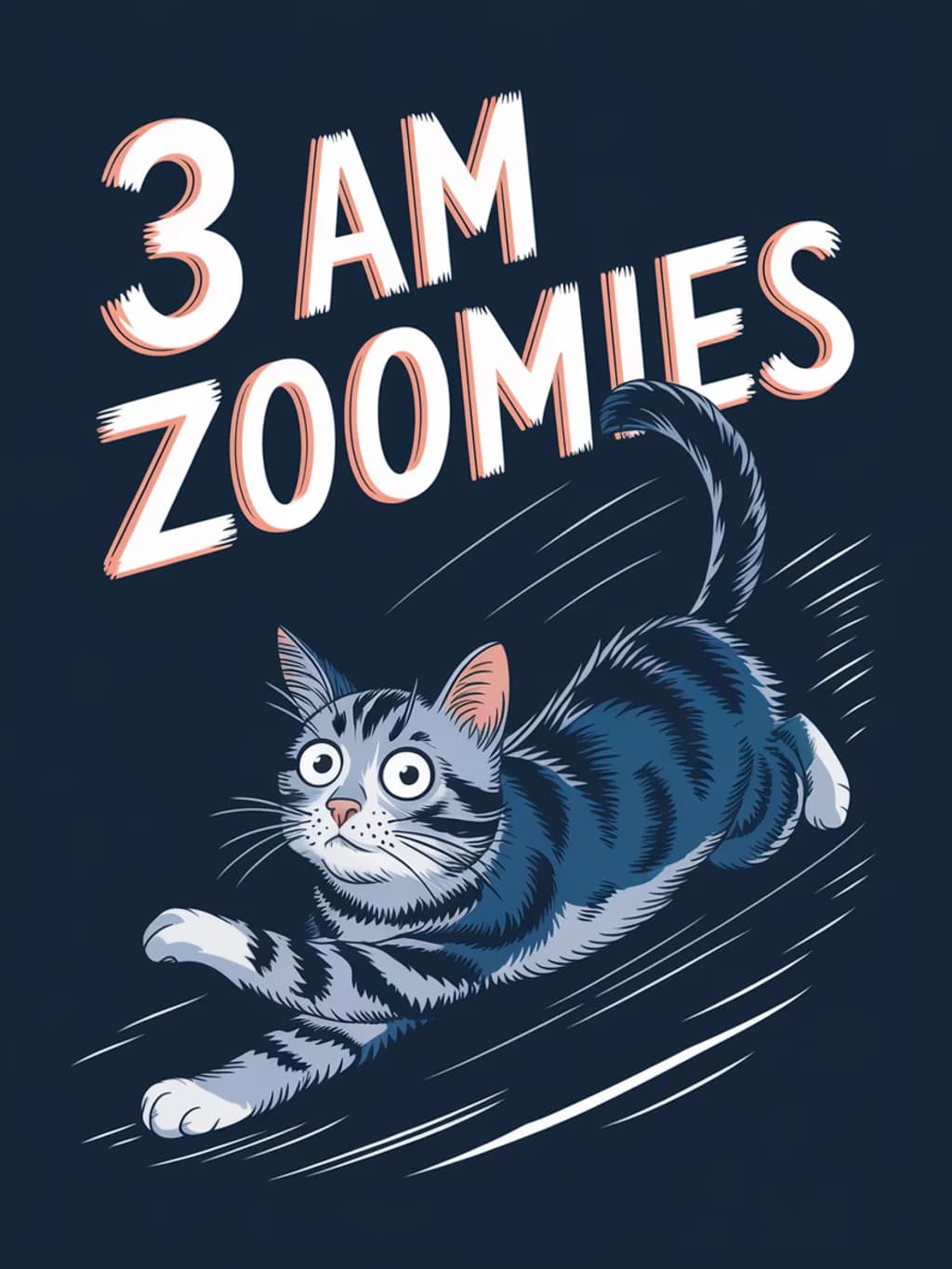 Cat 3AM Zoomies
