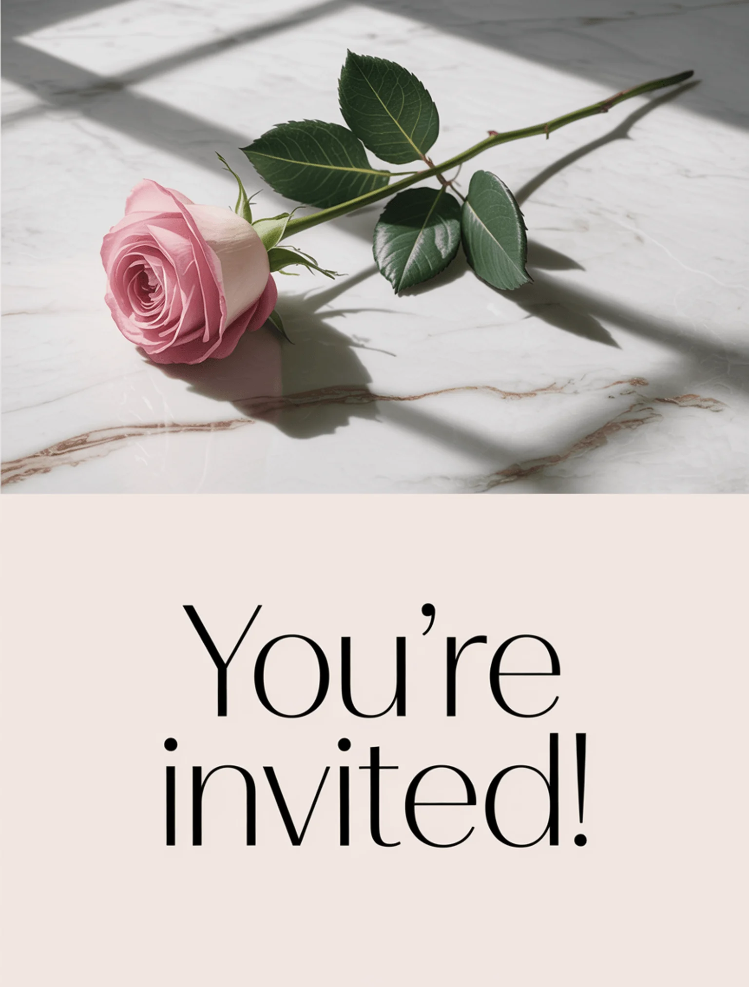 Modern Minimalist Blush